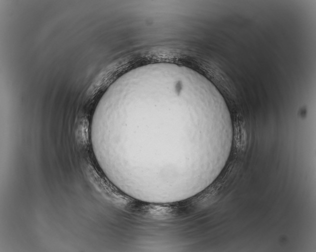 X0000115620718200912011614