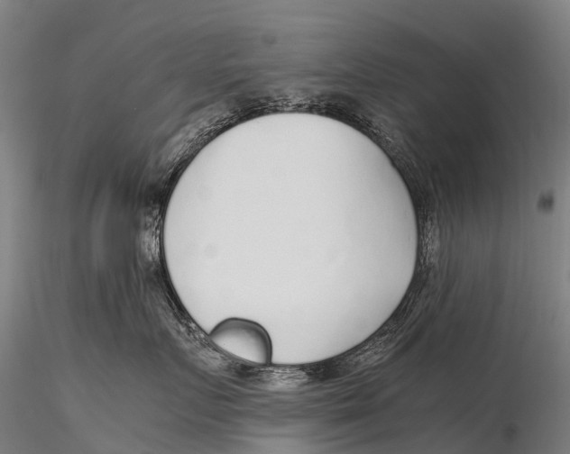 X0000115620719200912011614