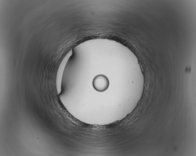 X0000115620720200912011614