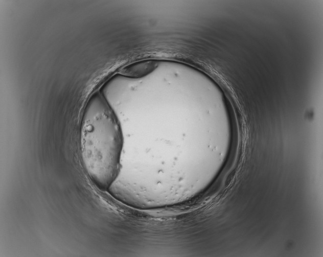 X0000115620721200912011614