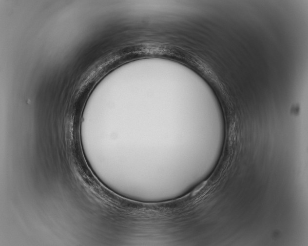 X0000115620722200912011614