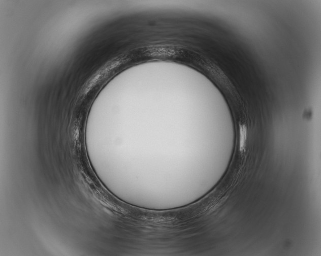 X0000115620723200912011614