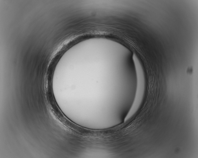 X0000115620726200912011614