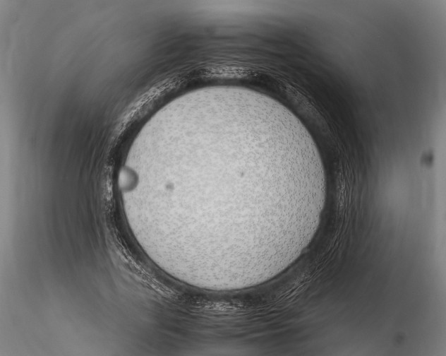 X0000115620731200912011614