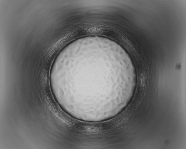 X0000115620733200912011614