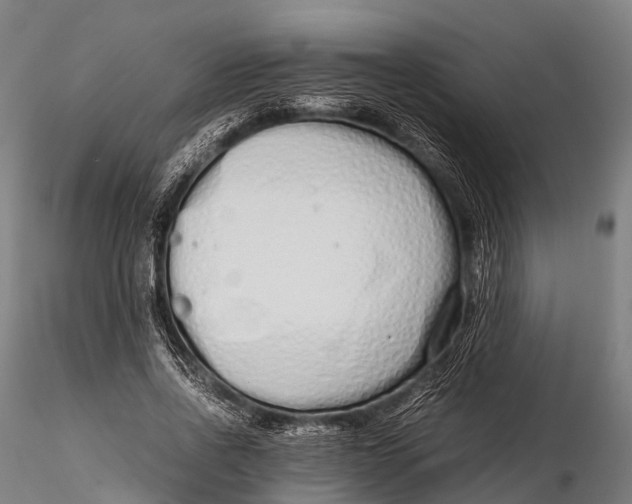 X0000115620734200912011614