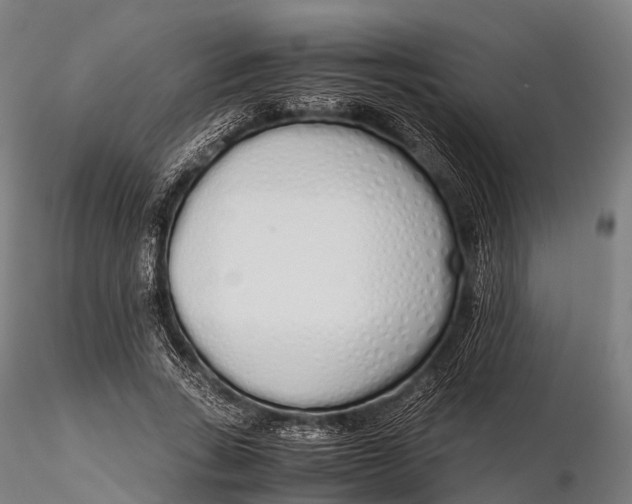 X0000115620735200912011614