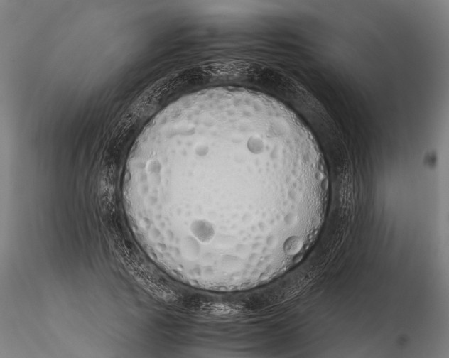 X0000115620737200912011614