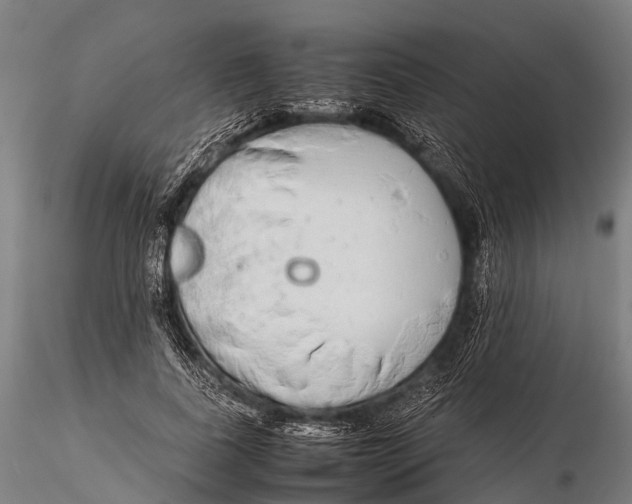 X0000115620739200912011614