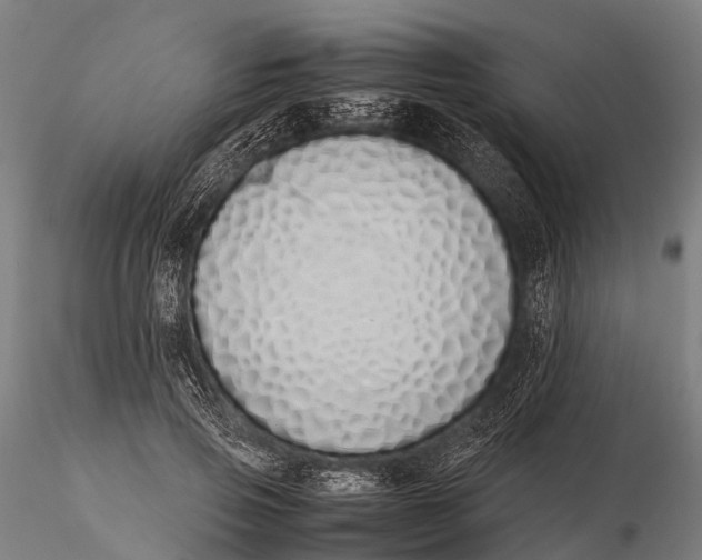 X0000115620741200912011614