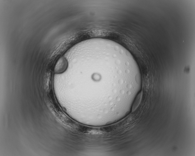 X0000115620742200912011614