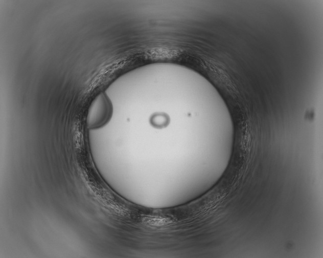 X0000115620743200912011614