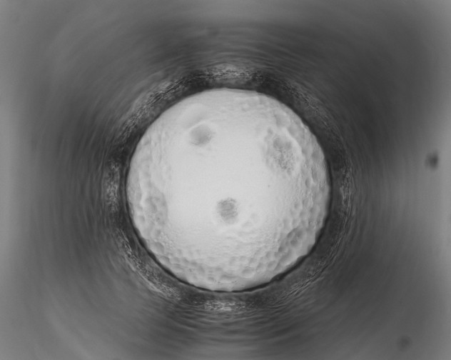 X0000115620745200912011614