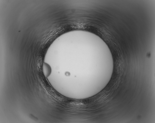 X0000115620747200912011614