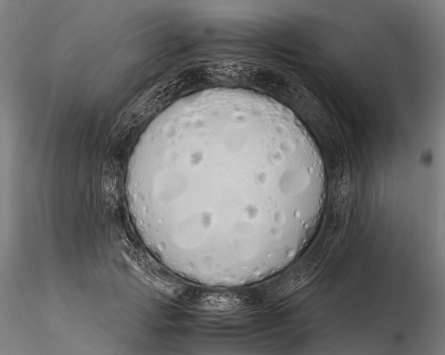 X0000115620749200912011614