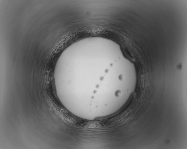 X0000115620750200912011614