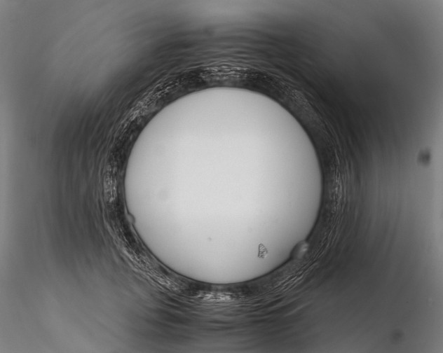 X0000115620751200912011614