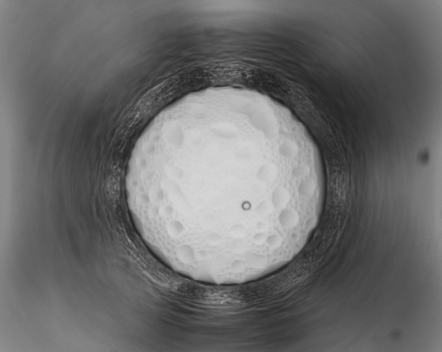 X0000115620753200912011614