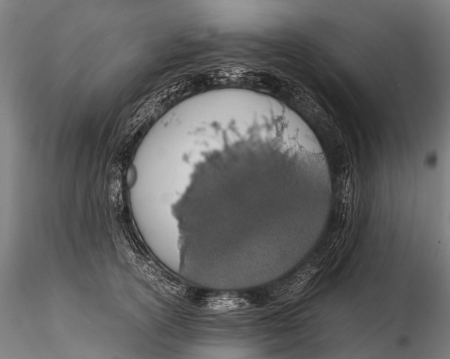 X0000115620754200912011614