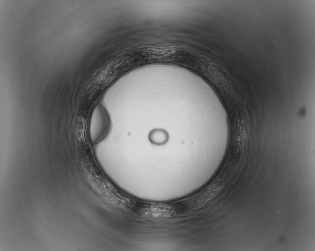 X0000115620758200912011614