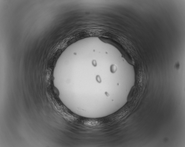 X0000115620759200912011614