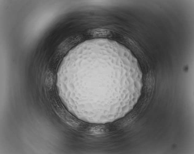 X0000115620761200912011614