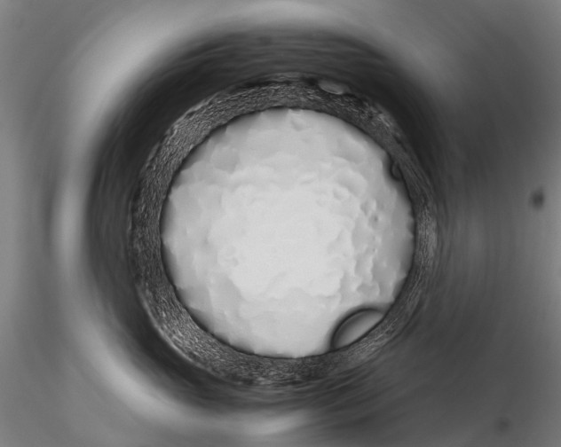 X0000115620765200912011614