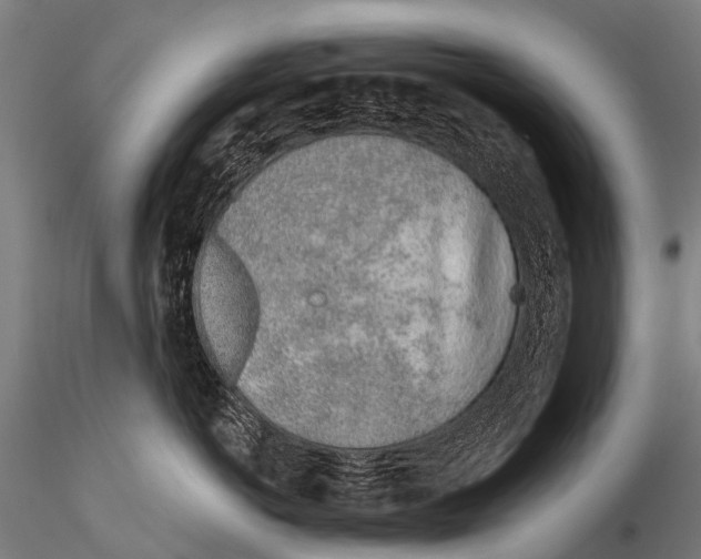 X0000115620766200912011614