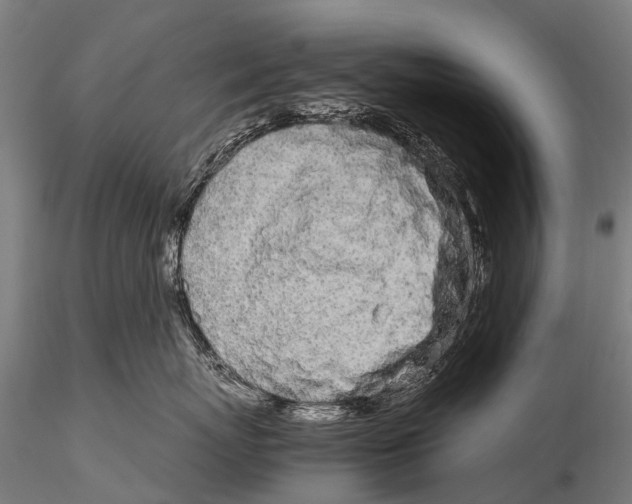 X0000115620767200912011614