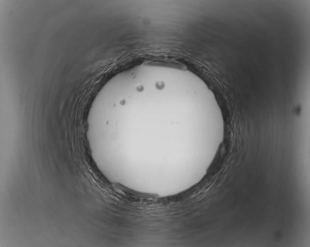 X0000115620769200912011614