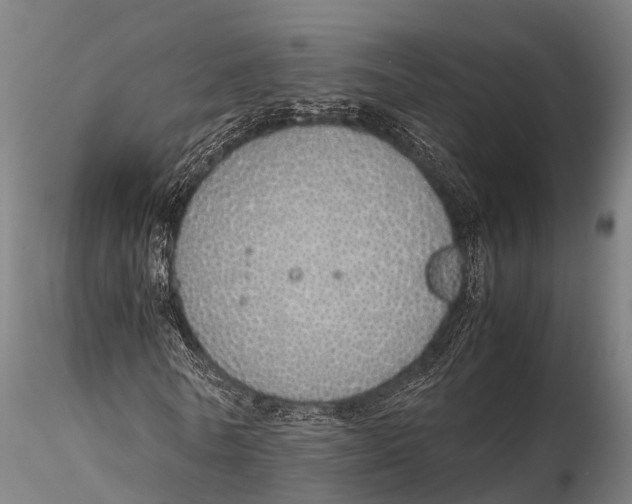 X0000115620770200912011614