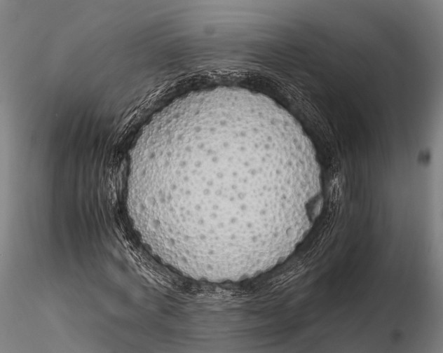 X0000115620772200912011614