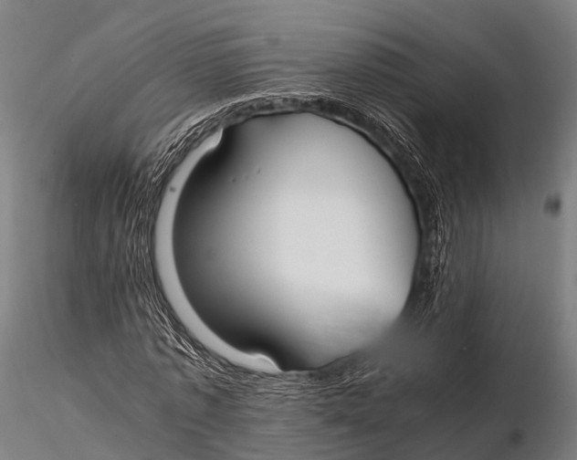 X0000115620773200912011614