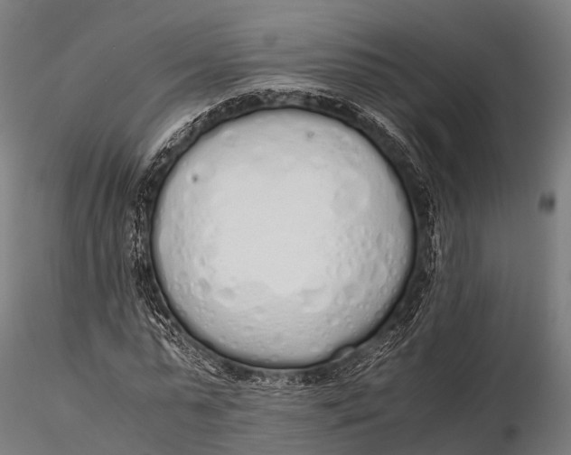 X0000115620775200912011614