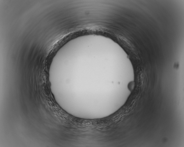 X0000115620776200912011614