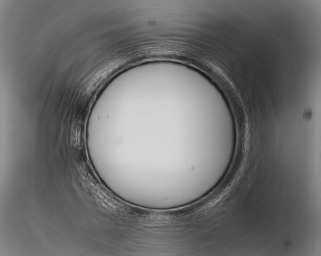 X0000115620777200912011613