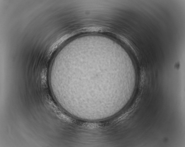 X0000115620778200912011613