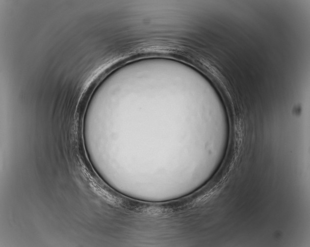 X0000115620779200912011613