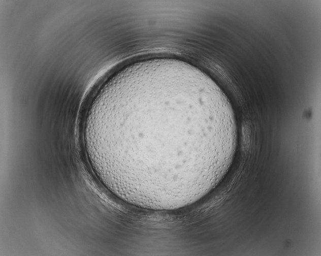 X0000115620780200912011613