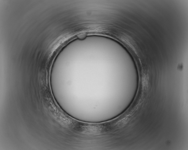 X0000115620781200912011613