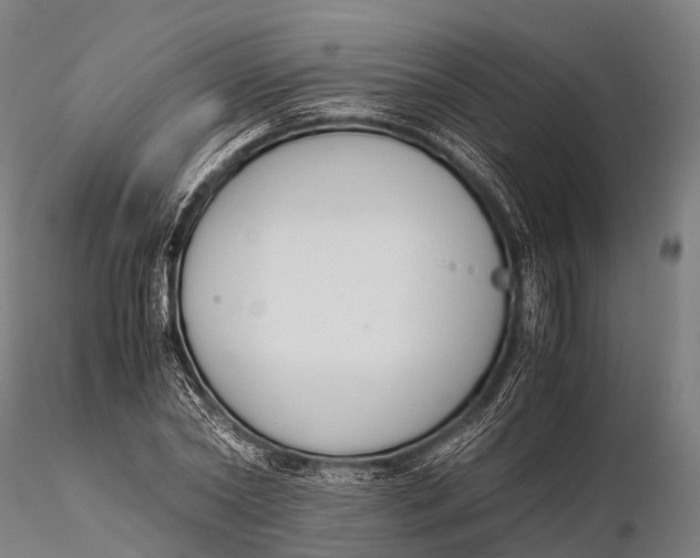 X0000115620782200912011613