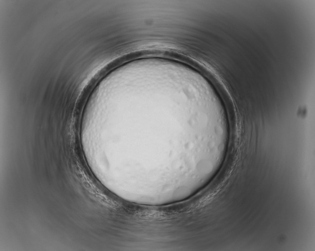 X0000115620783200912011613