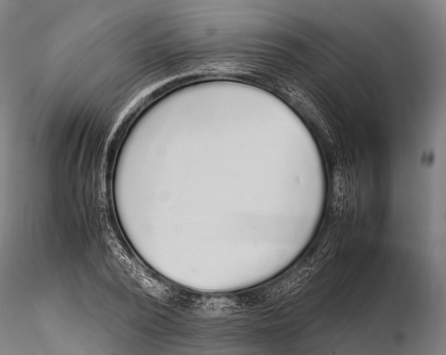 X0000115620784200912011613