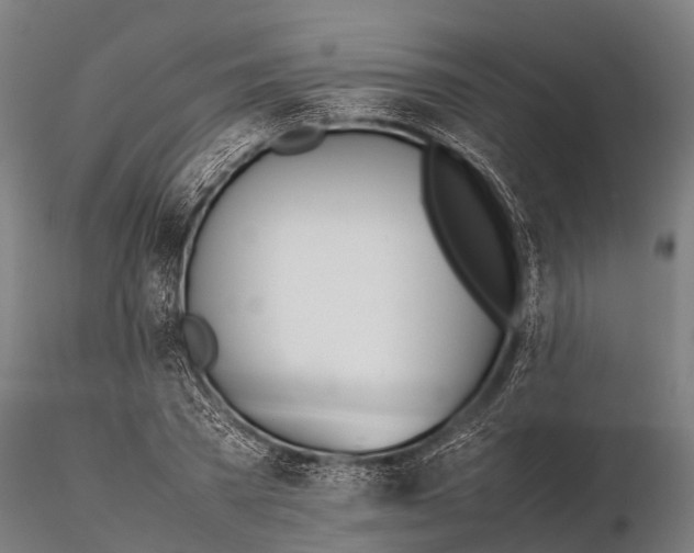 X0000115620785200912011613