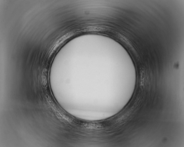 X0000115620786200912011613