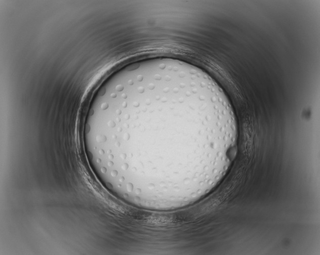 X0000115620788200912011613