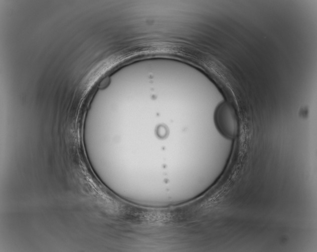 X0000115620789200912011613