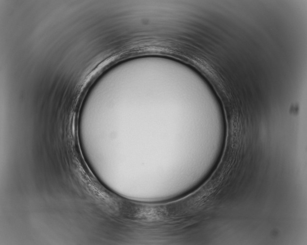 X0000115620790200912011613