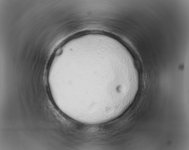 X0000115620791200912011613