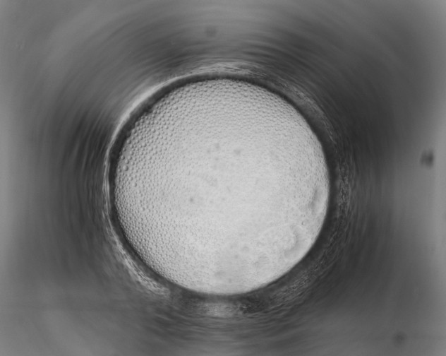 X0000115620792200912011613